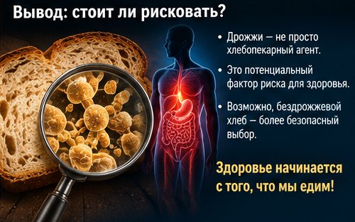 Термофильные дрожжи_ научный разбор хлеба 9.jpg